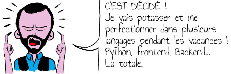 C EST DÉCIDÉ Je vais potasser et me perfectionner dans plusieurs langages pendant les vacances Python frontend Backend La totale .jpg
